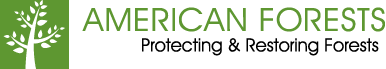 American Forests